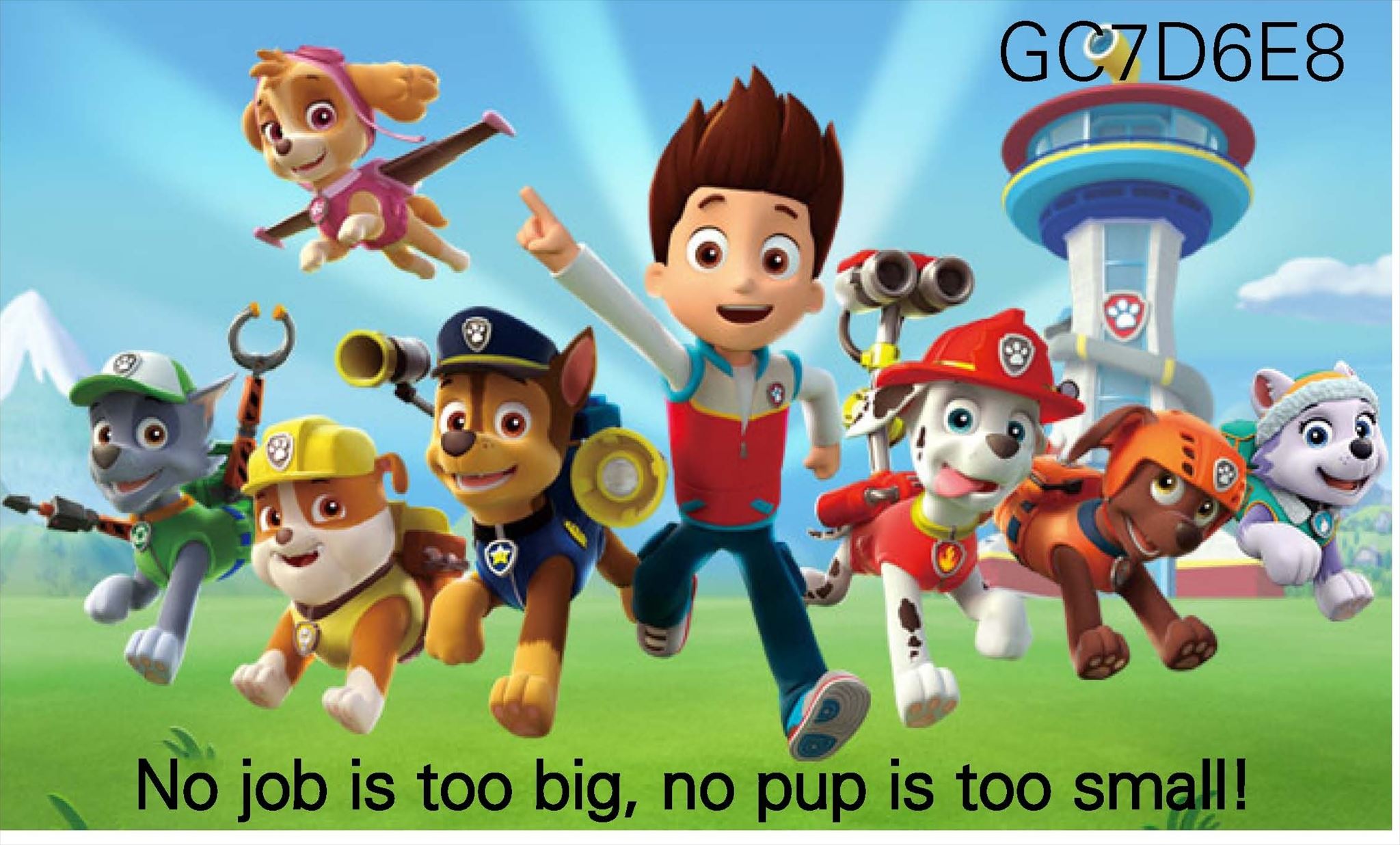 GC7D6E8 - Paw Patrol