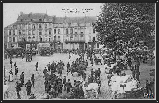 La place du Marché aux Chevaux avant la Première Guerre Mondiale