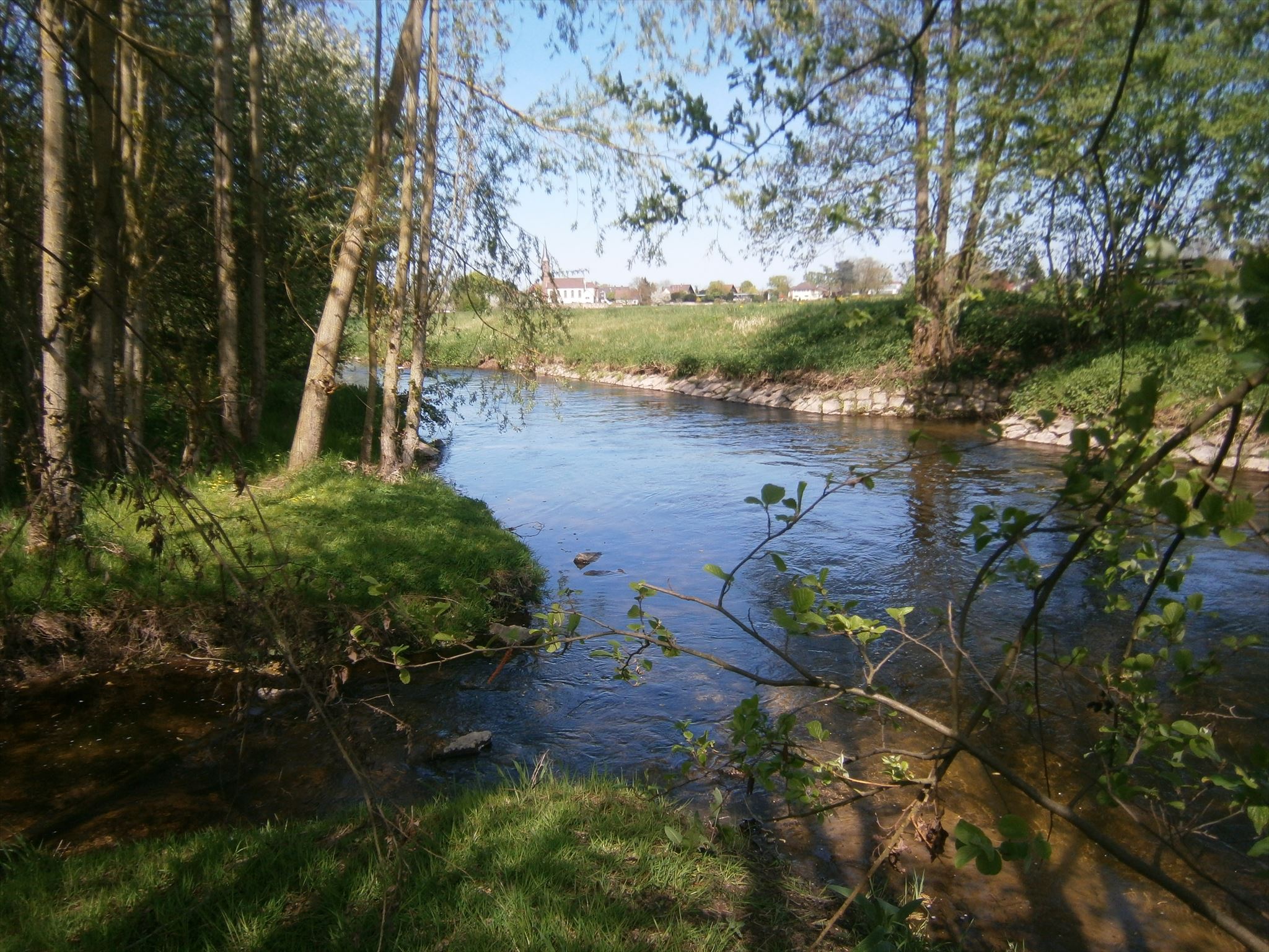Robinson