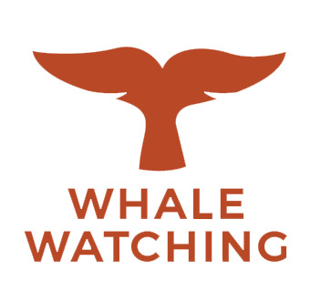 Whale Watching