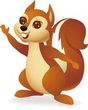 squirrel