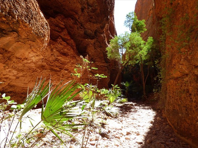 Echidna Chasm