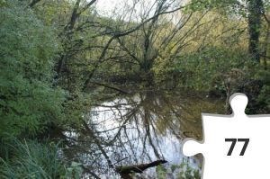 Jigsaw puzzle - Philmtime-2