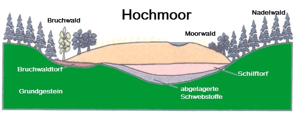 4de0ff9e-2526-4bd9-89da-382fbed26991_l.j