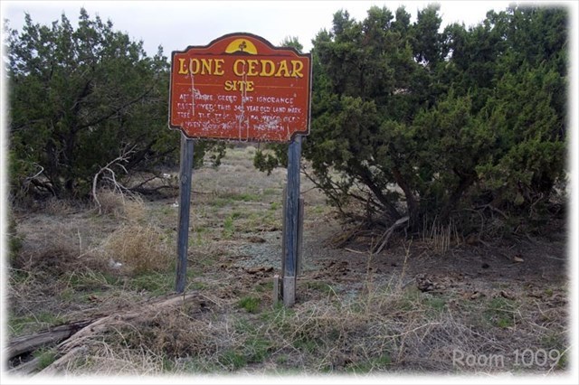 Lone Cedar Site