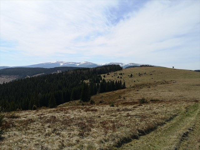 Výhľady na Kráľovú hoľu a hreben Nízkych Tatier cestou na Panskú hoľu 8.5.2020