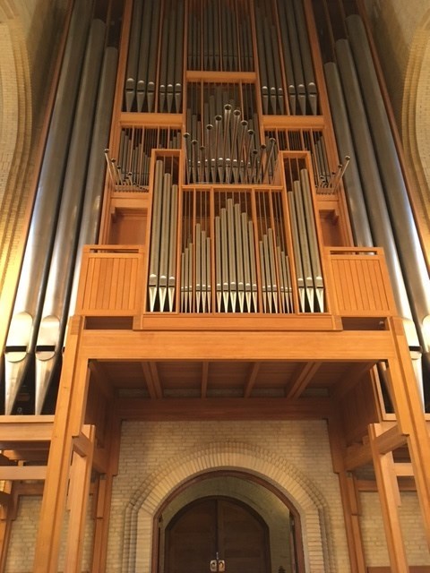 50455be0-a5a1-430b-8e73-e072039f13db_l.jpg (480×640)