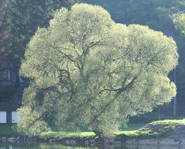 Appel à la découverte