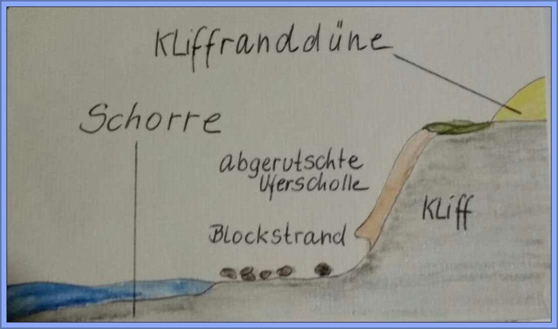Kliffrabdduene