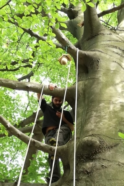 Že by ten vedlejší strom?