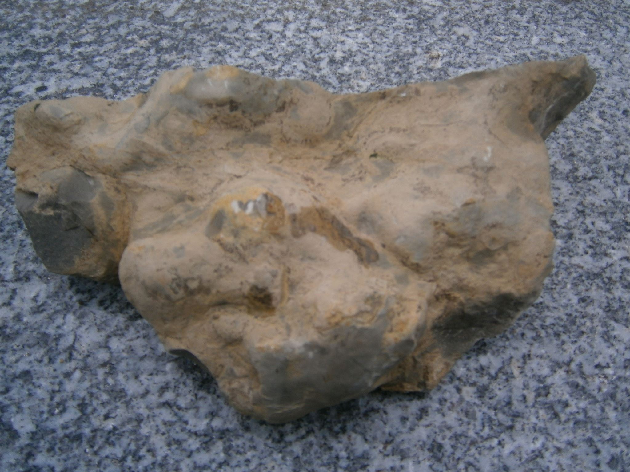 Blick auf einen ehemaligen Meeresboden