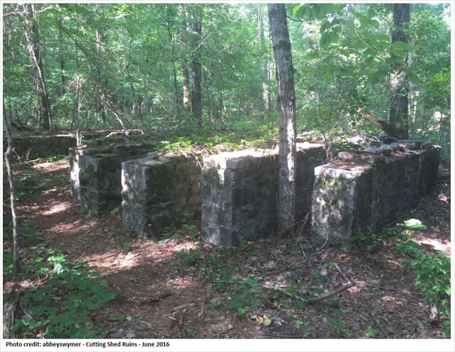 Cutting shed ruins and quarry landscape view 1