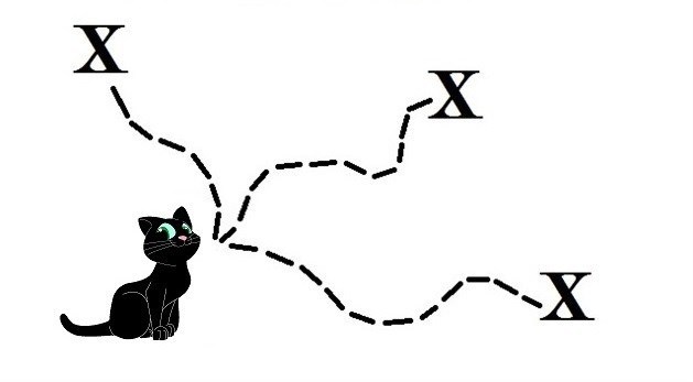 A sitting black cat at the head of three dotted paths, each leading to X