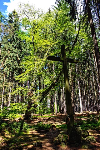 starodávná lípa a kříž v Křižánku