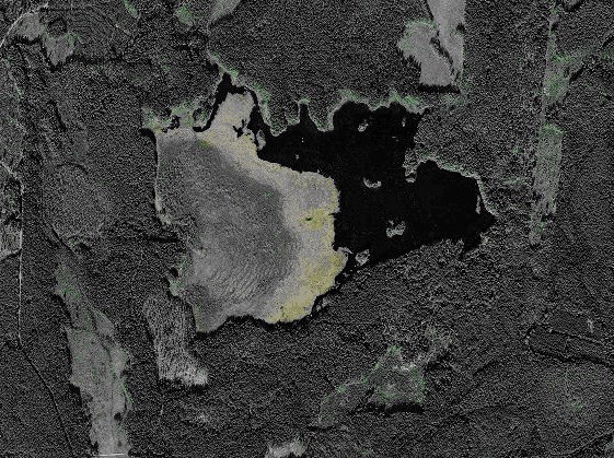  photo DammedSaint.jpg