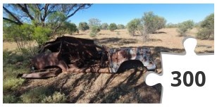 Jigsaw puzzle - Bunky Paddock Basher - QOGM 2023 Jigsaws – 048