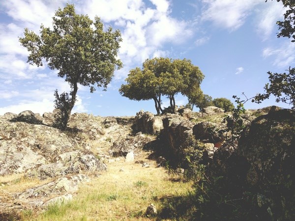 Encinachos desde la presa