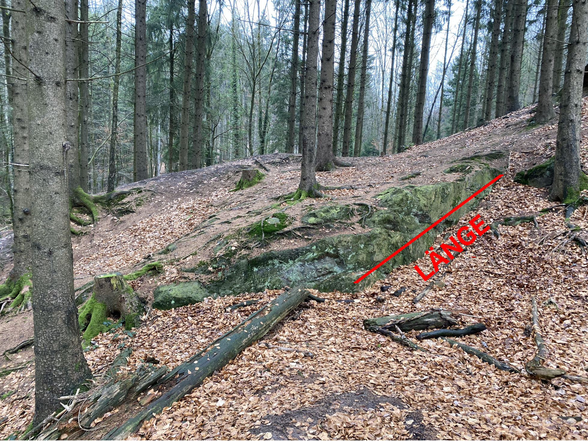 Spiegelharnisch am Felsen Horeb Harnischfläche