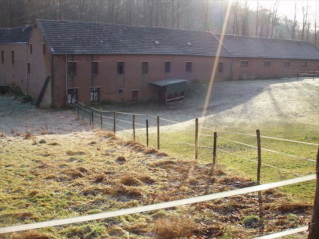 boerderij