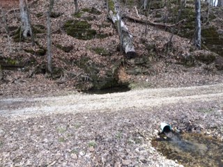 Ferguson Spring