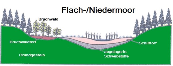 574176ac-a500-4543-b1f4-1b97466a8b4c_l.j