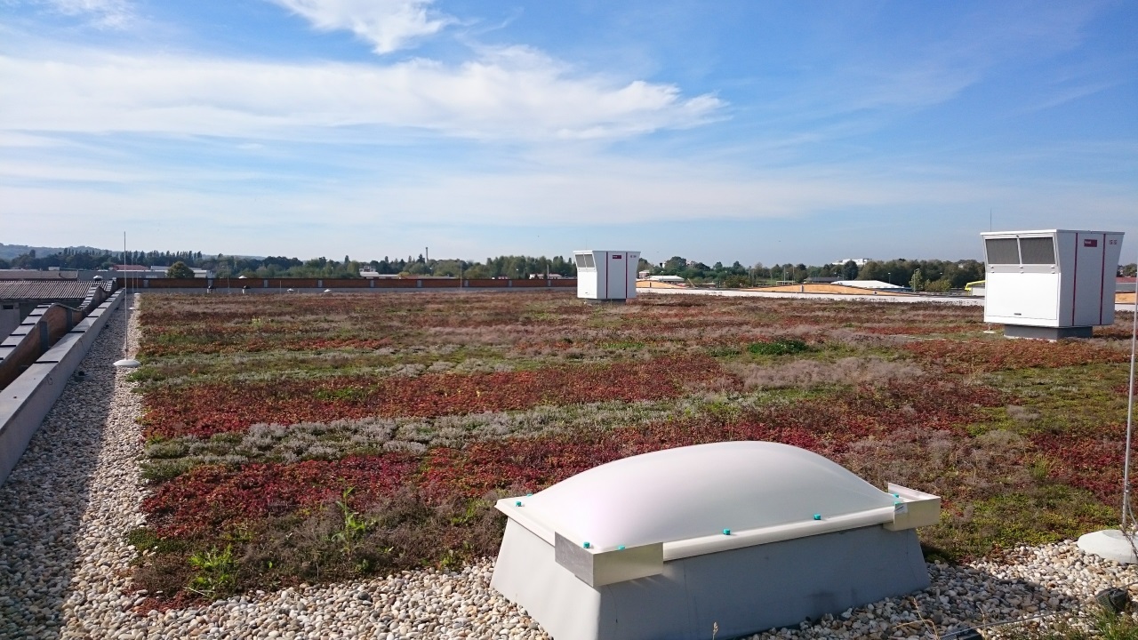 Business zone in Virovitica