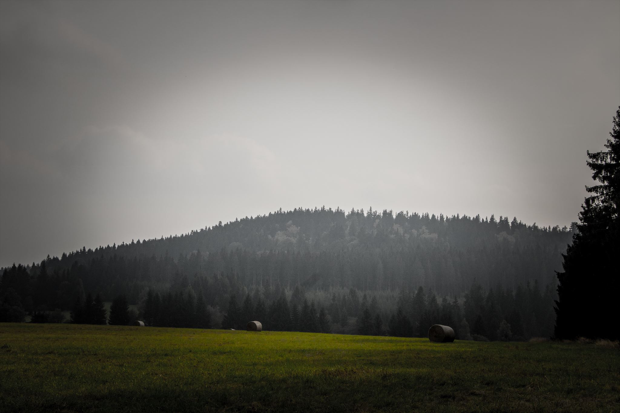 Křemenna