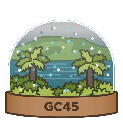 GC45 - Snow globes