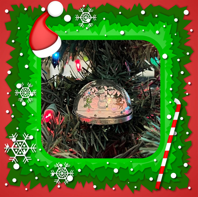 3D Snow Globe Geocoin 3D Snow Globe Geocoin