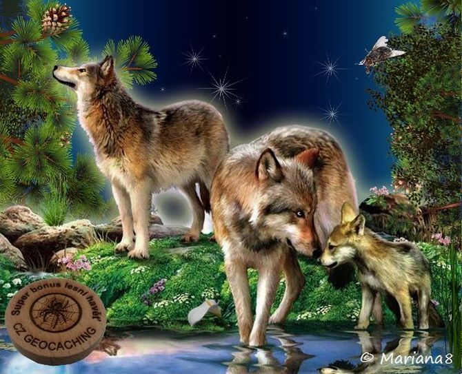 Superbonus Lesní zvířátka-UNDER