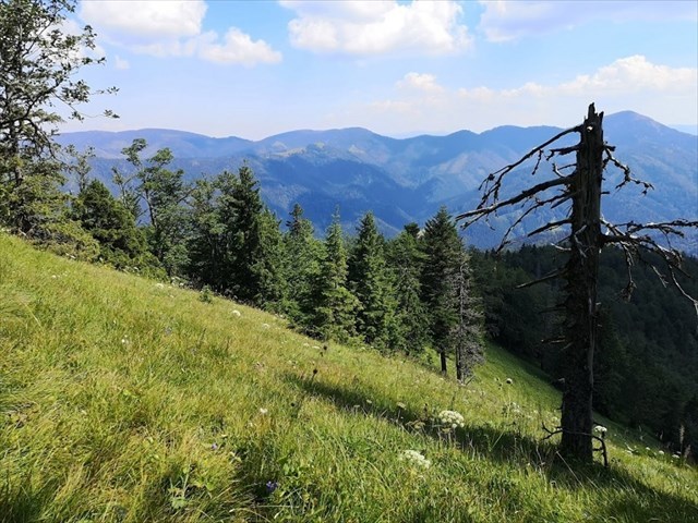 Výhľady z Malého Lysca 8.8.2020