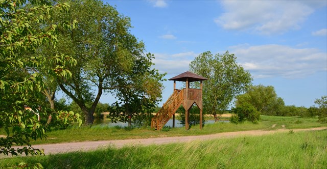 Mikulovické jezero