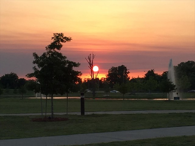 centered image