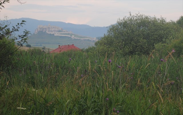 nice view of the Spiš Castle from the cache