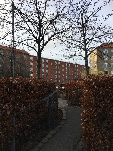 5ba64689-7181-4561-b07e-0d8dd1f01aa6_l.jpeg (480×640)