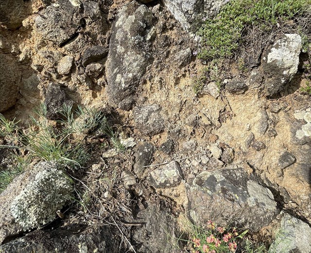 Palagonitová výplň (matrix) medzi úlomkami hyaloklastitov.