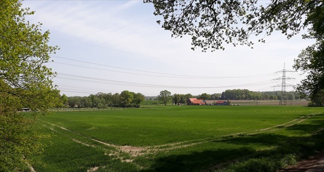 Mitten in der Feldmark II