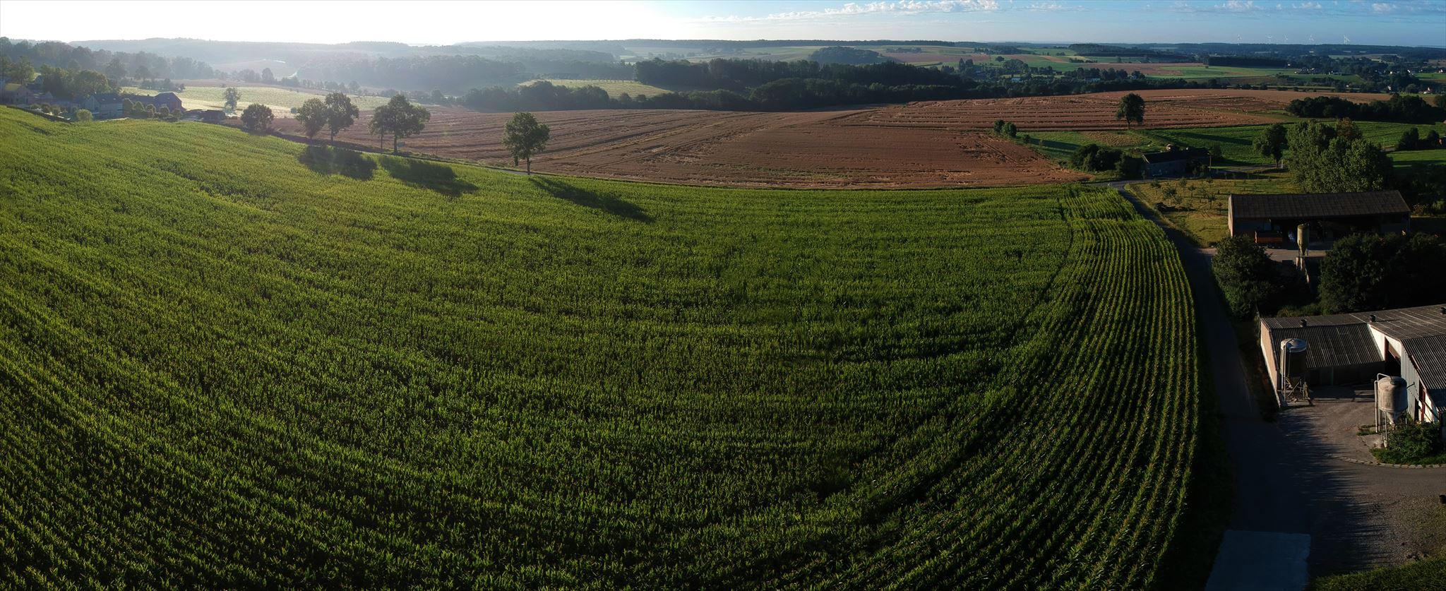 Mars-aux-Frênes, 2019