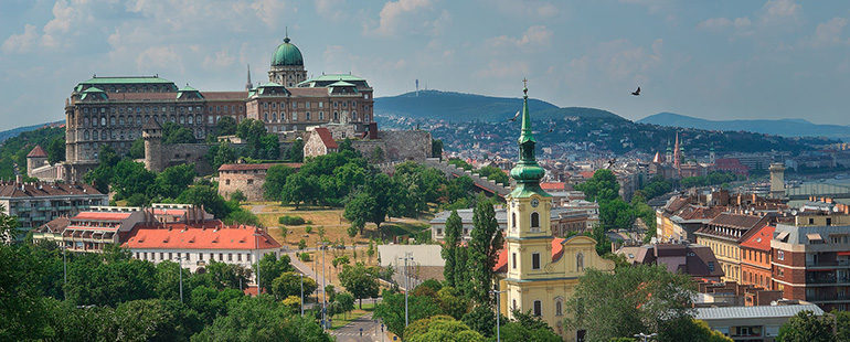 The Buda Castle and its neighbourhood from the Gellért hill