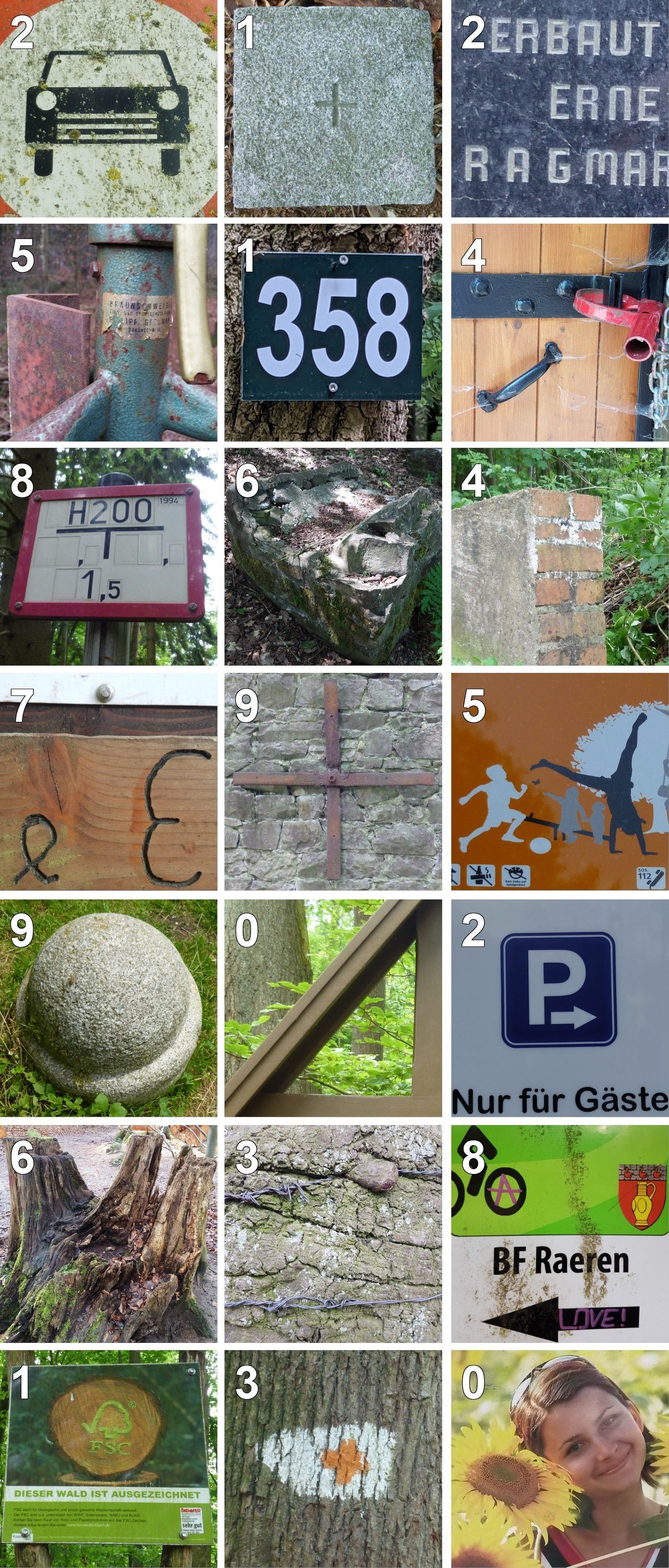 Eindrücke aus dem Öcher Bösch