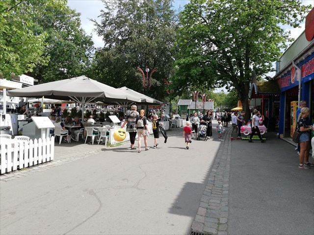 Picture from the Amusement Park