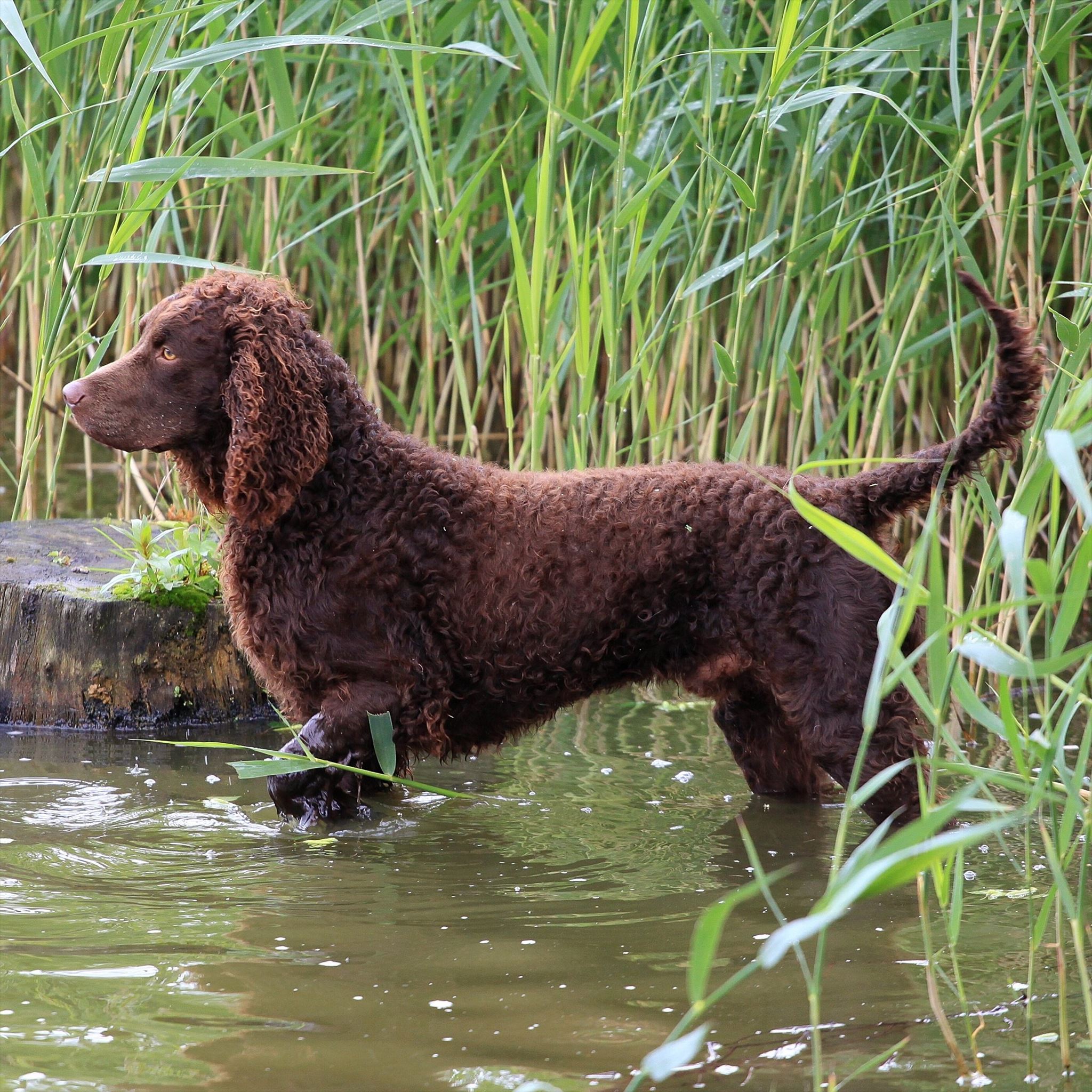 INSERT ALT TEXT HERE