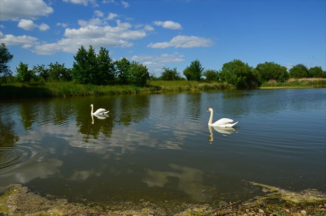 Mikulovické jezero