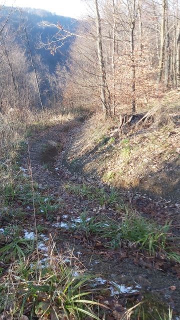 Path No. 101 - Livada pod Kraljevčicom