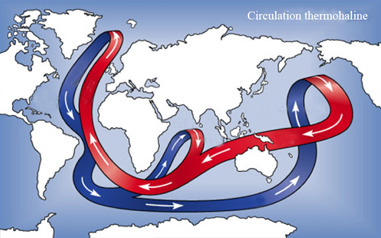 Circulation océanique actuelle, dite circulation thermohaline.