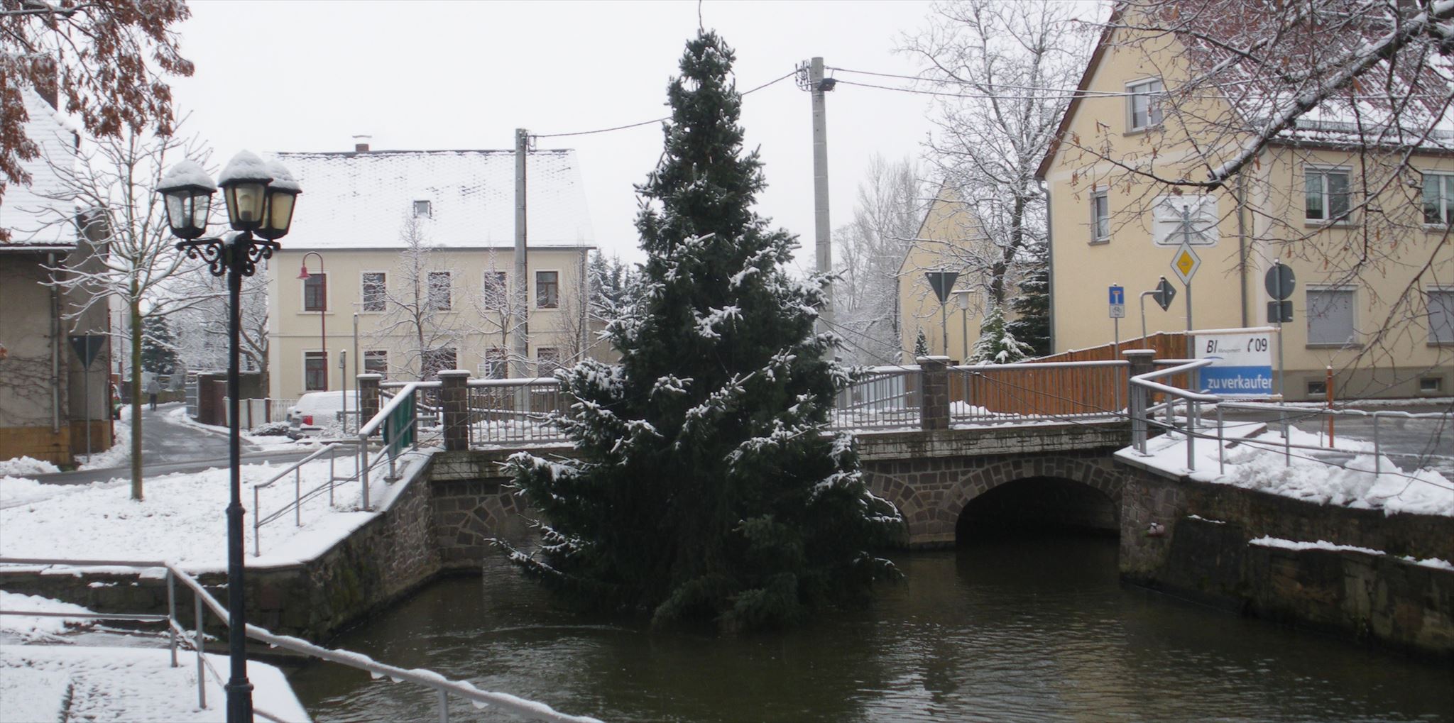 da stand der Baum 2010