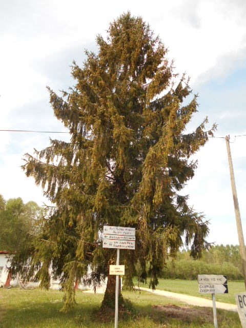 Le chemin des Carreaux