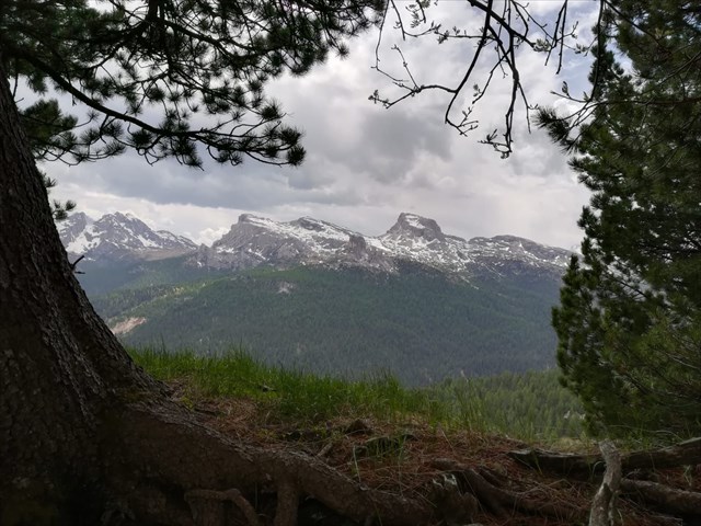 View from the cache