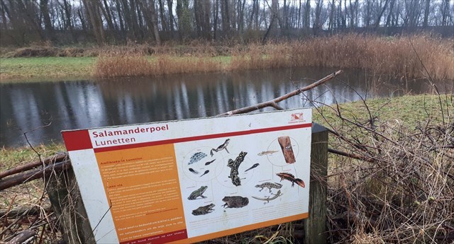 Salamanderpoel park de Koppel