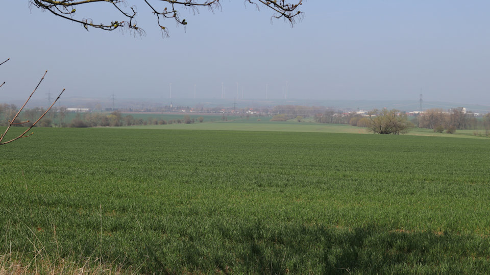 Blick nach Sonneborn